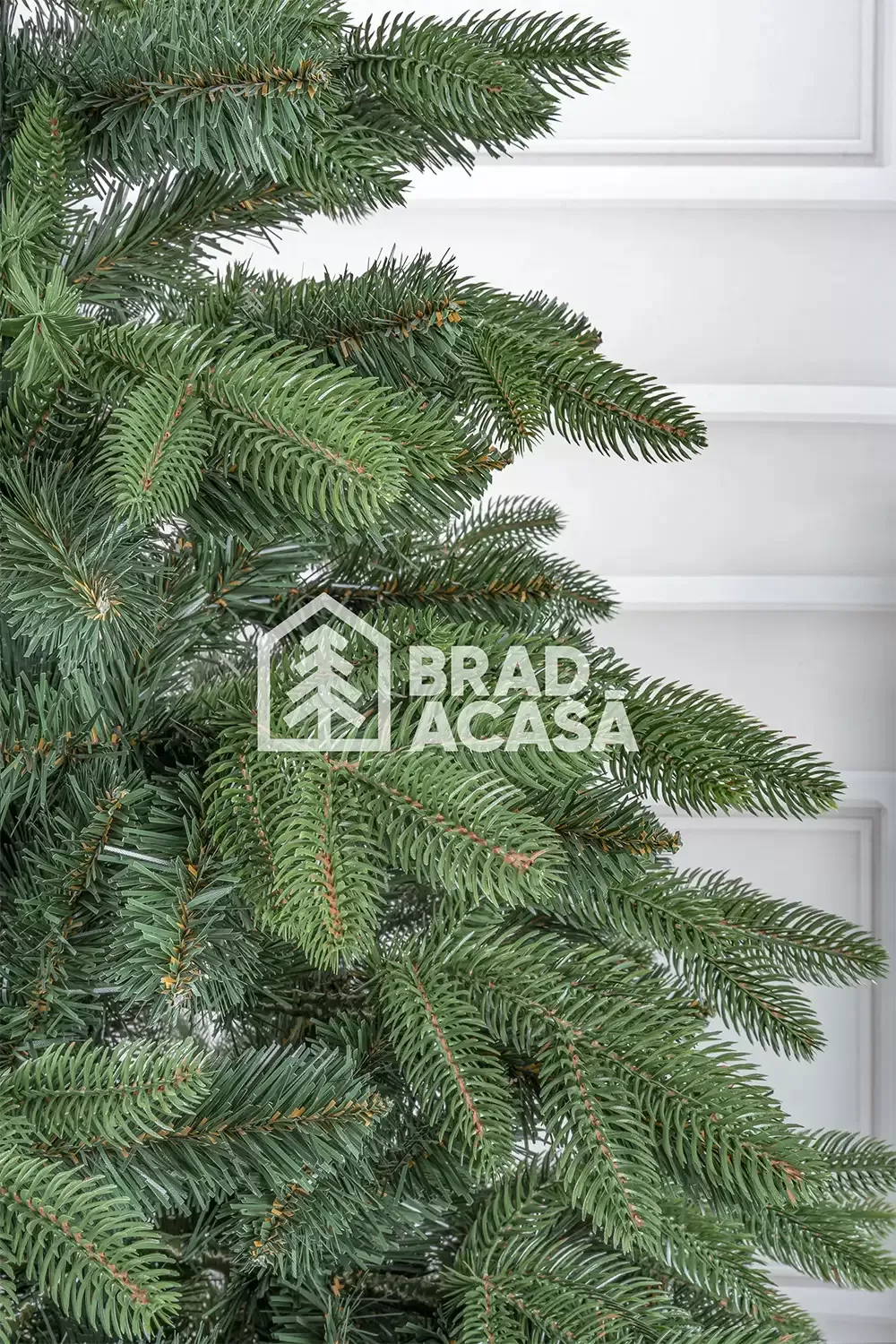 Brad artificial Noel-2