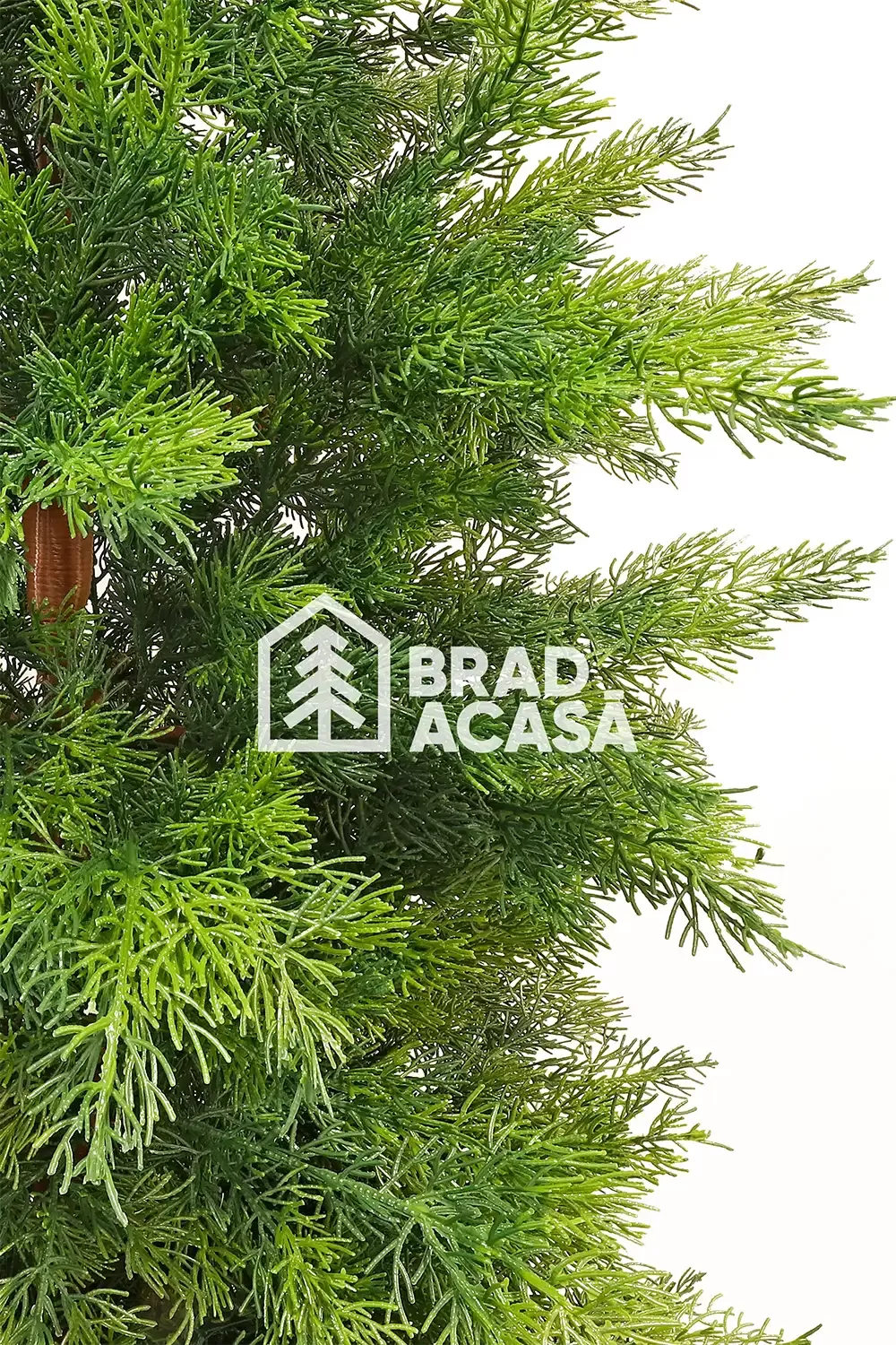 Brad artificial Eiffel-2