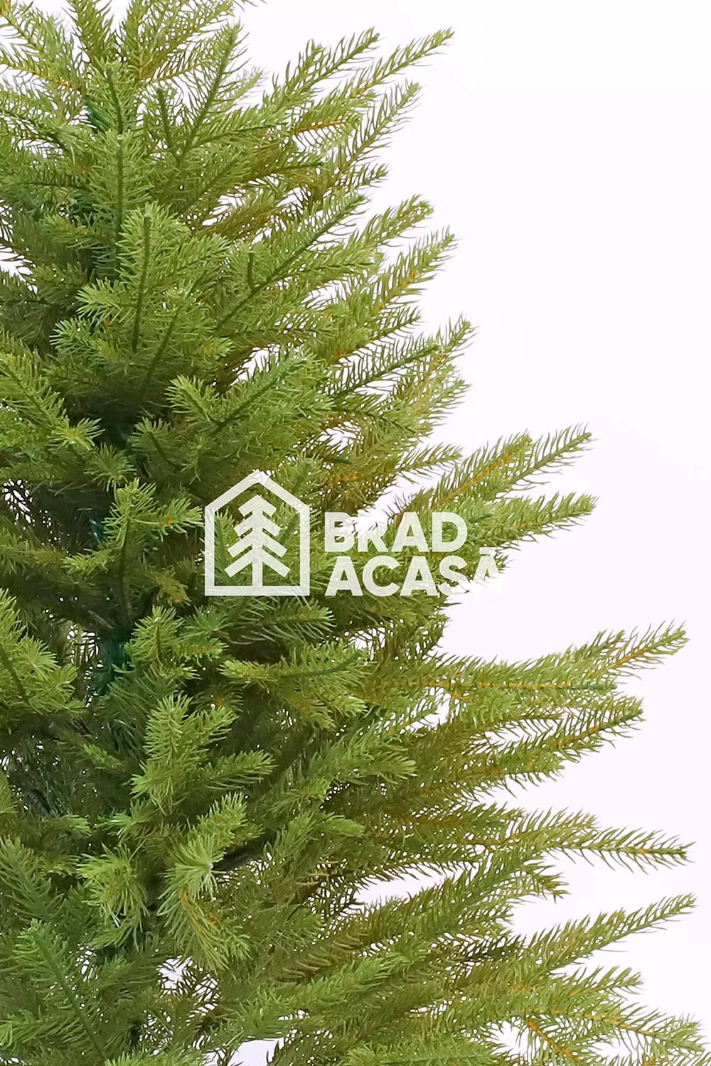 Brad artificial Pine-2