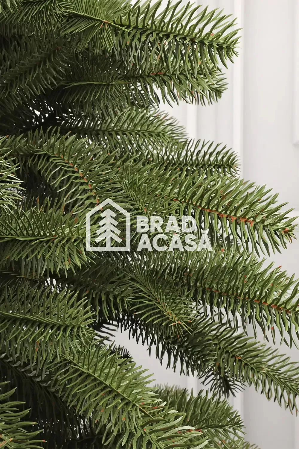 Brad artificial Bucovina-2