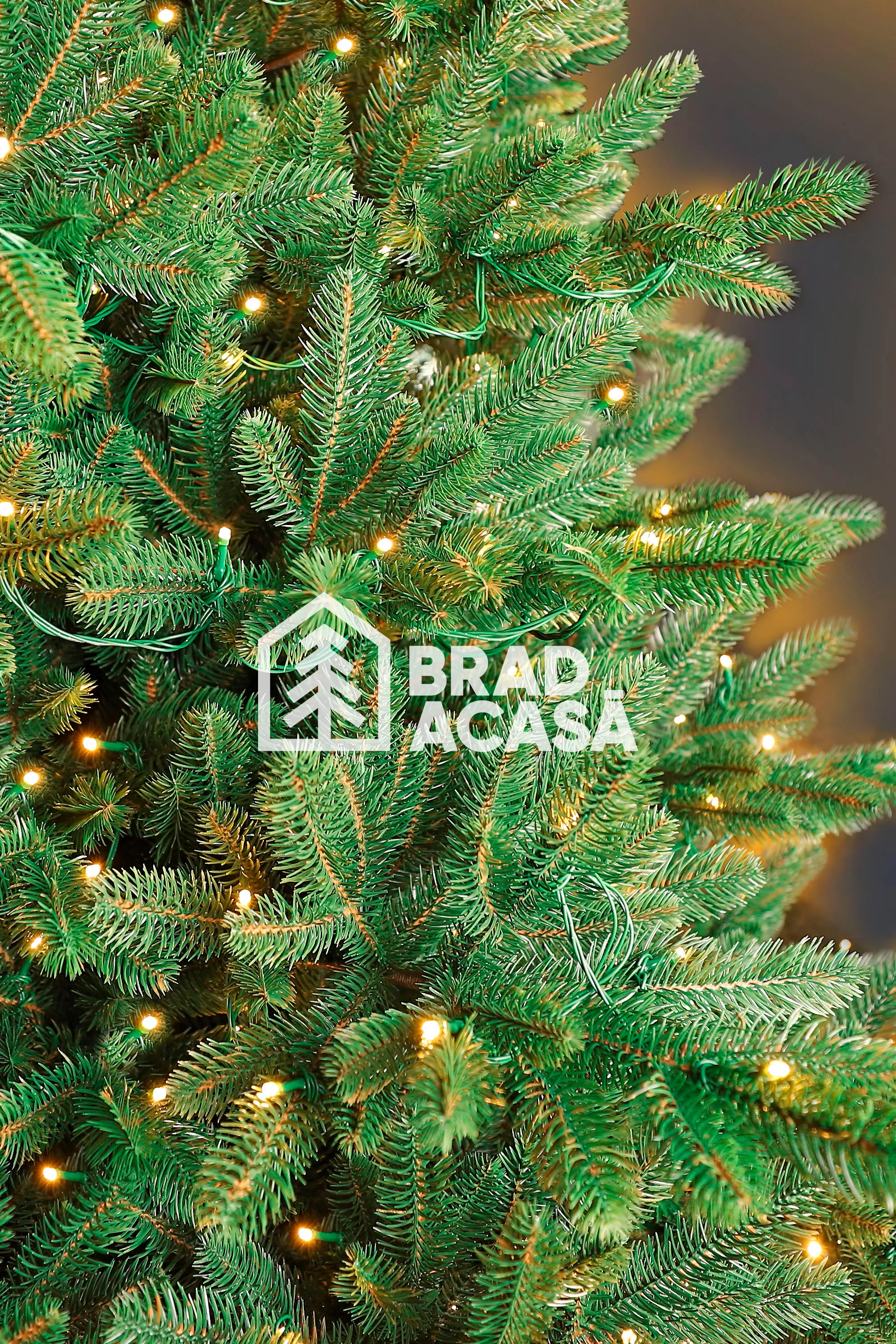 Brad Artificial Norwegian Light