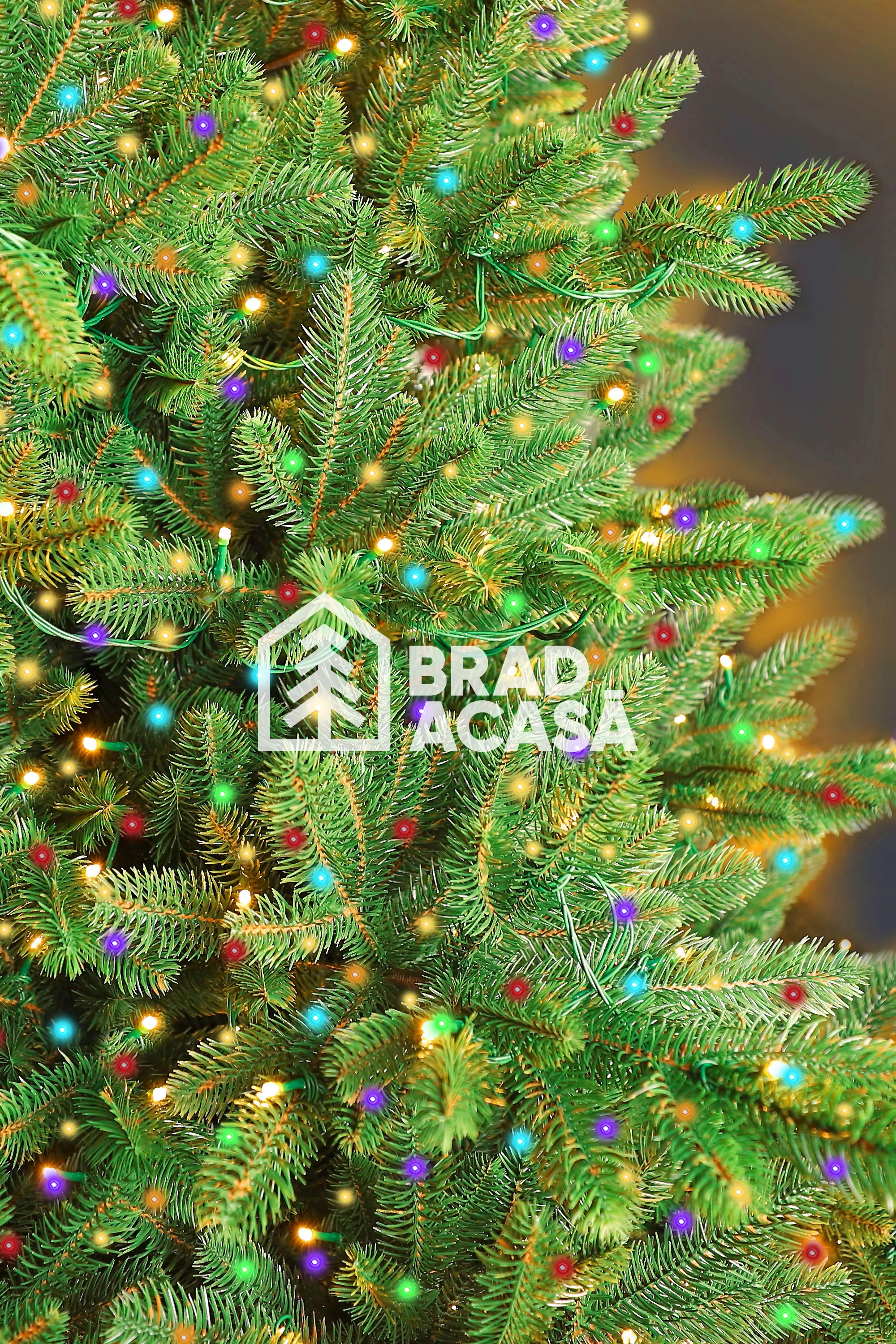 Brad Artificial Briliant Selection-2