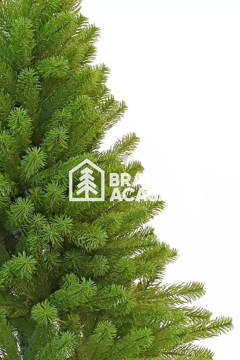 Brad artificial Holiday-2