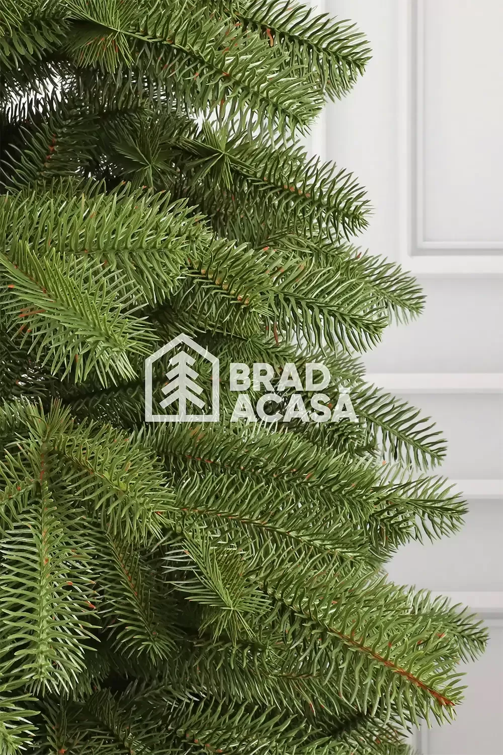 Brad artificial Bucovina-2