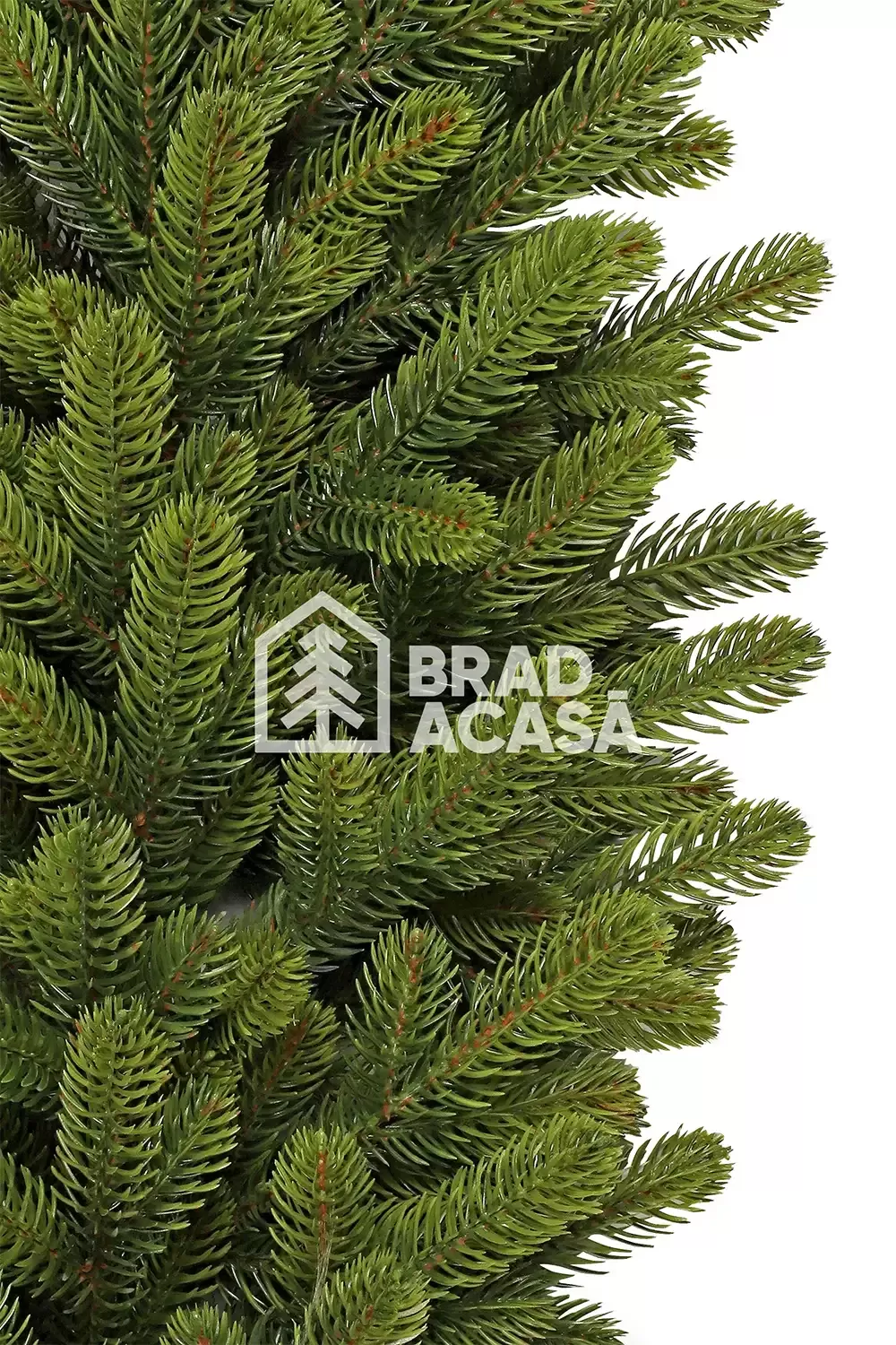 Ghirlanda Royal Green-2