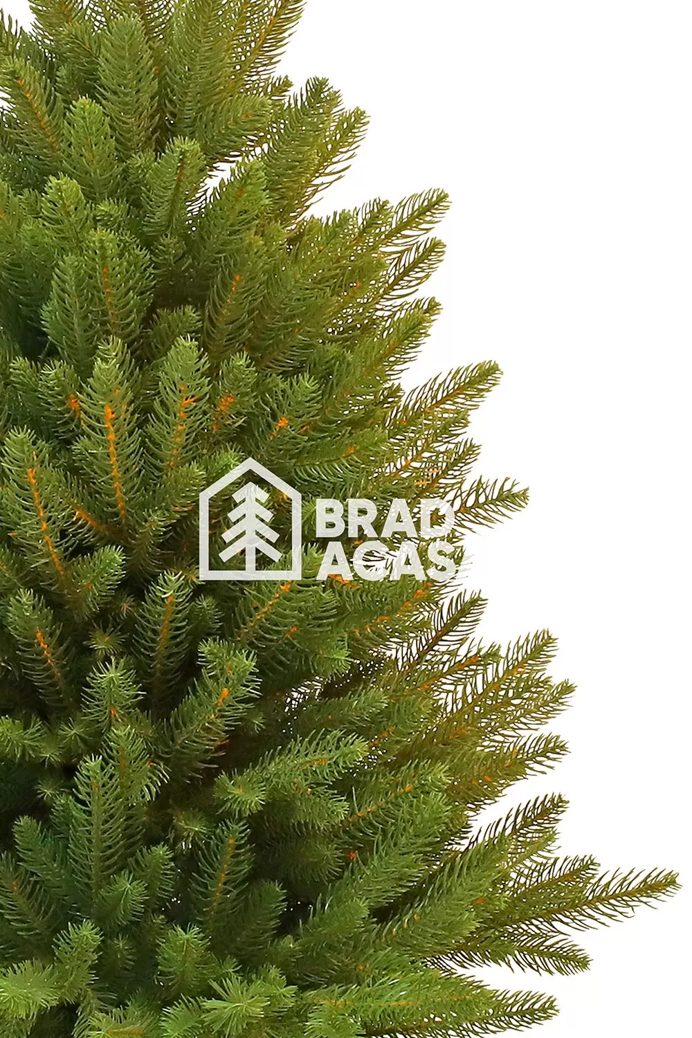 Brad artificial Forest-2