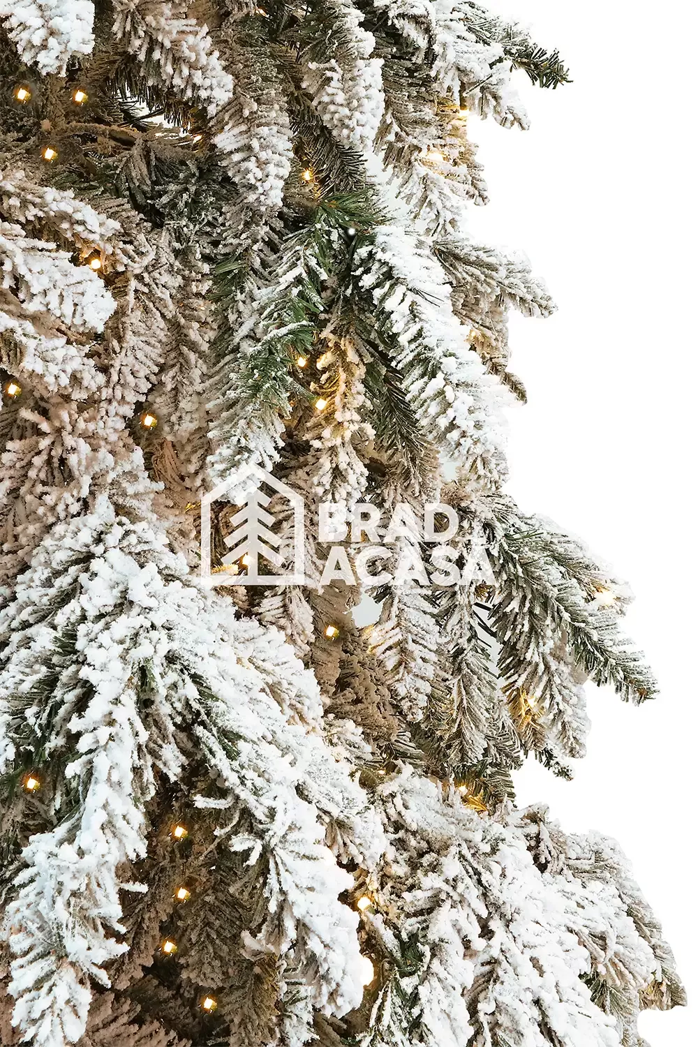 Brad artificial Moon-2